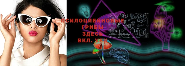 PSILOCYBIN Белокуриха