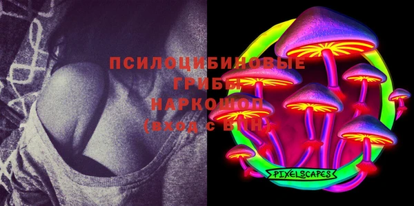 герыч Болотное