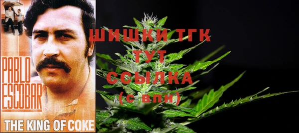 меф Тавда